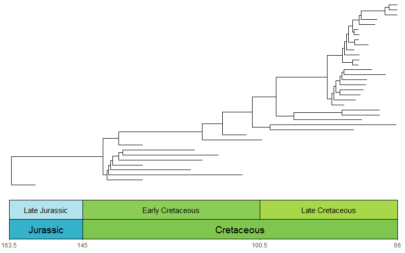 example fossil_phylogeny